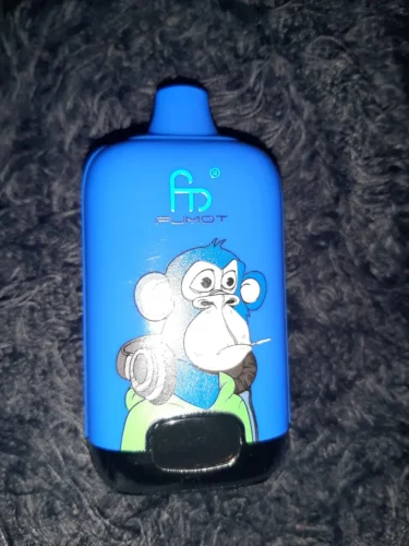 (Europe warehouse direct delivery 3-7 days)Fumot Digital Box 12000 Disposable Vape photo review