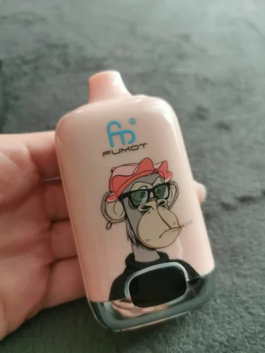 (Europe warehouse direct delivery 3-7 days)Fumot Digital Box 12000 Disposable Vape photo review