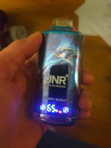 (Europe warehouse direct delivery 3-7 days)JNR Falcon 16000 Puffs | 2% nicotine, 22mL, dual mesh, airflow control, 850mAh, 28 flavors photo review