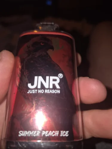 (Europe warehouse direct delivery 3-7 days)JNR Falcon 16000 Puffs | 2% nicotine, 22mL, dual mesh, airflow control, 850mAh, 28 flavors photo review